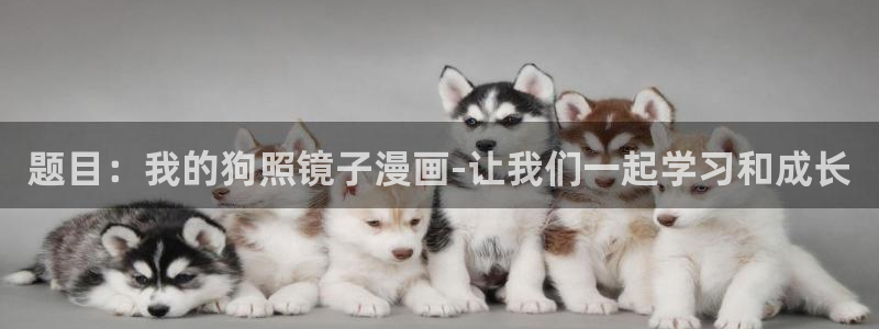 3d韩漫画免费在线观看：题目：我的狗照镜子漫画-让我们一起学习和成长