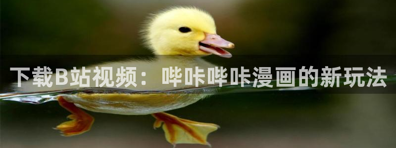歪歪漫画在线阅读韩漫：下载B站视频：哔咔哔咔漫画的新玩法