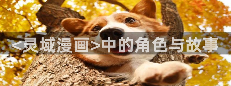 免费韩漫完整版哪里可以看：<灵域漫画>中的角色与故事