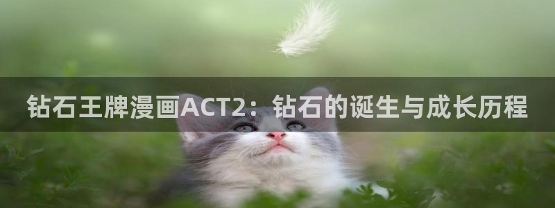 韩漫漫画画免费：钻石王牌漫画ACT2：钻石的诞生与成长历程