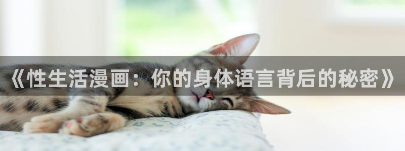 韩漫免费入口网站：《性生活漫画：你的身体语言背后的秘密》