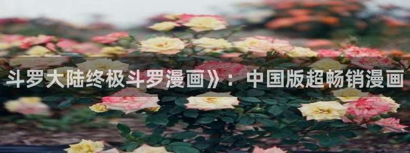第一韩漫网免费漫画：斗罗大陆终极斗罗漫画》：中国版超畅销漫画
