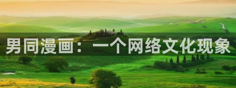 免费成人韩漫网站：男同漫画：一个网络文化现象