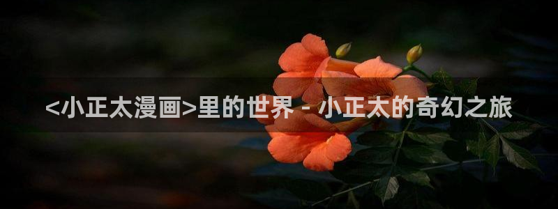韩漫画下拉式