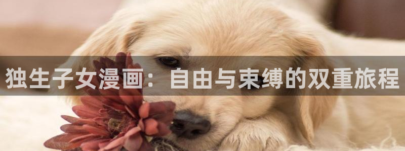 韩漫画全集免费阅读在线