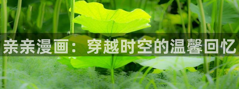 内涵漫画韩漫