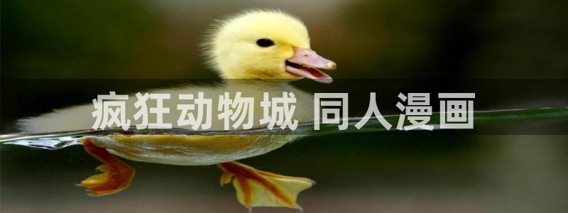 与岳母同屋韩漫在线观看