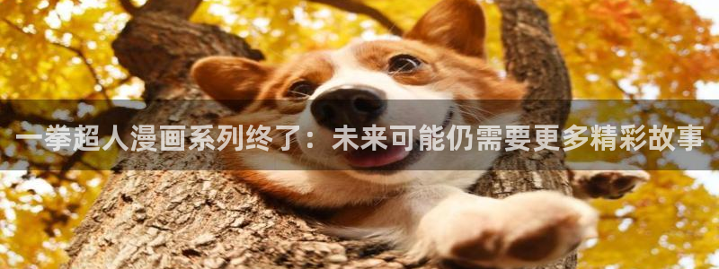 看韩漫的免费漫画：一拳超人漫画系列终了：未来可能仍需要更多精彩故事